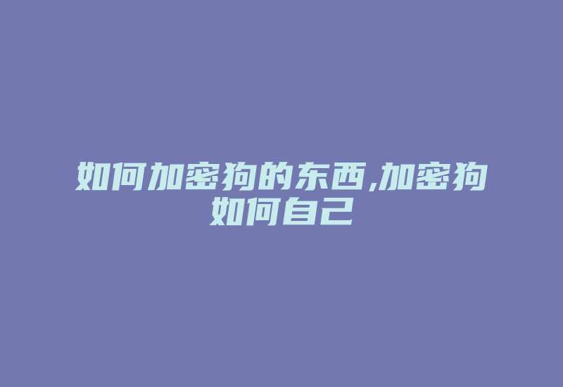 如何加密狗的东西,加密狗如何自己-加密狗解密网