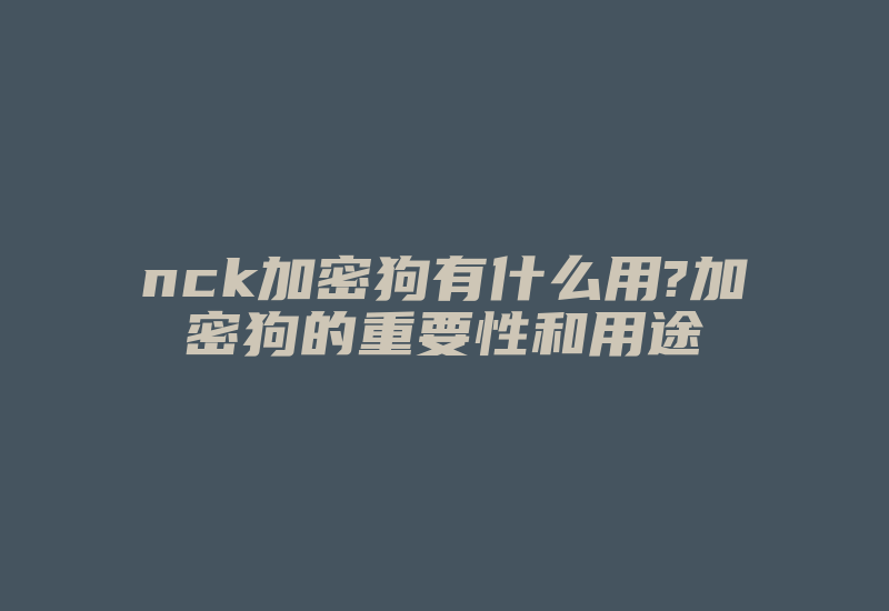 nck加密狗有什么用?加密狗的重要性和用途-加密狗解密网