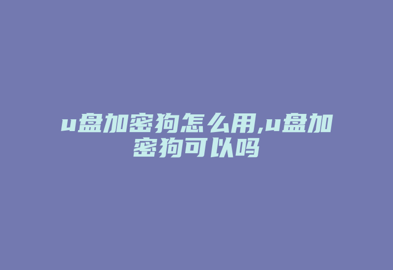 u盘加密狗怎么用,u盘加密狗可以吗-加密狗解密网