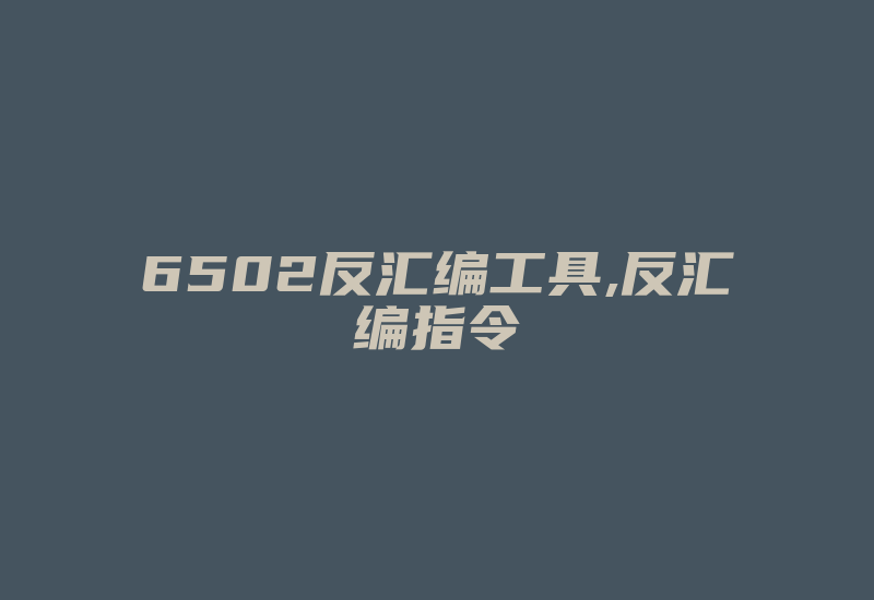 6502反汇编工具,反汇编指令-加密狗解密网