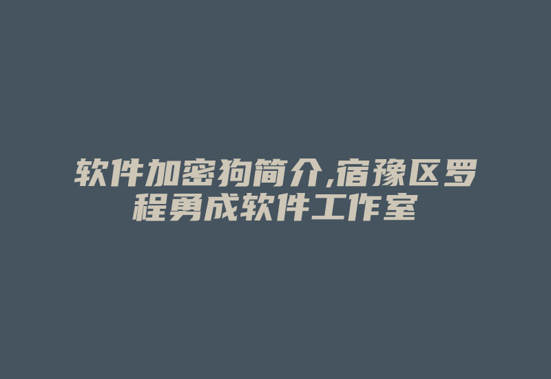 软件加密狗简介,宿豫区罗程勇成软件工作室-加密狗解密网