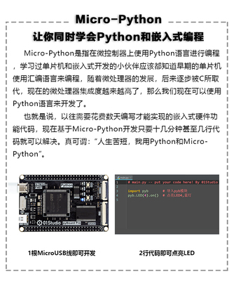 哪些单片机支持python,python能编写单片机吗-加密狗解密网