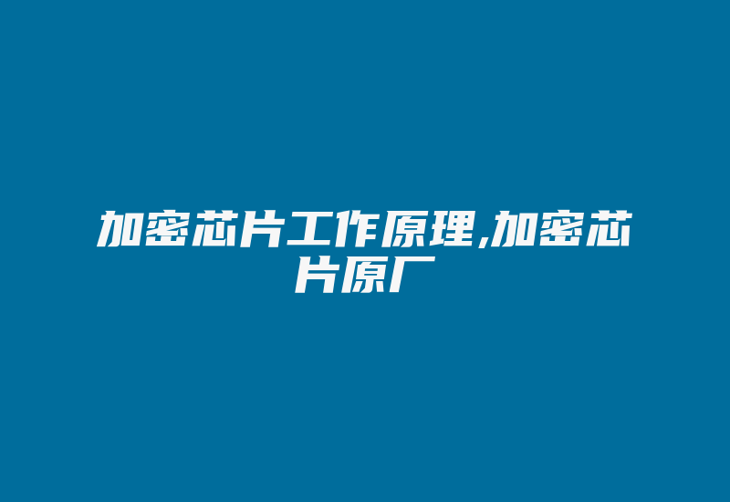 加密芯片工作原理,加密芯片原厂-加密狗解密网