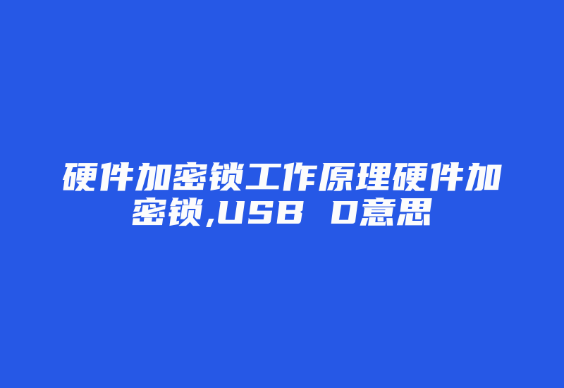 硬件加密锁工作原理硬件加密锁,USB D意思-加密狗解密网