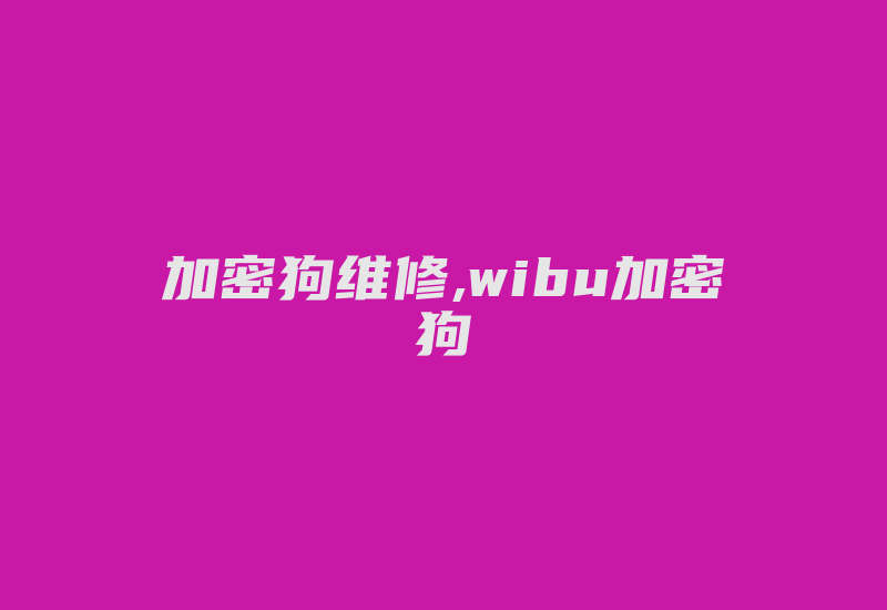 加密狗维修,wibu加密狗-加密狗解密网