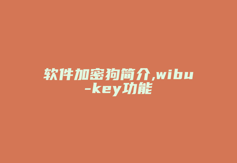 软件加密狗简介,wibu-key功能-加密狗解密网